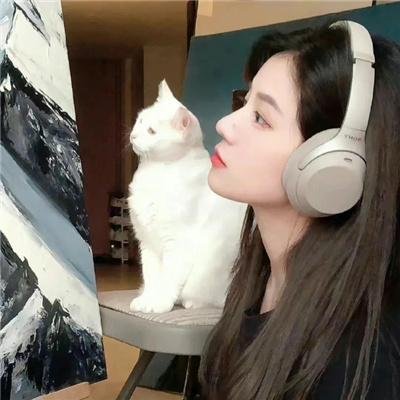 职场小烈第五季